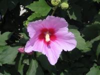 Albums/20060800-China Aug 2006/20060804-Shenyang University/22